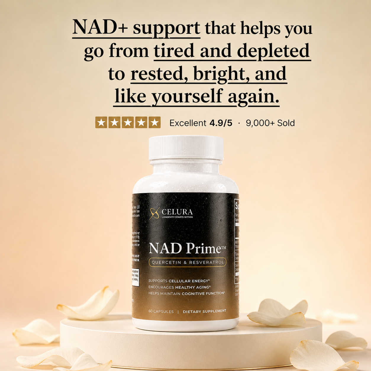 NAD Prime