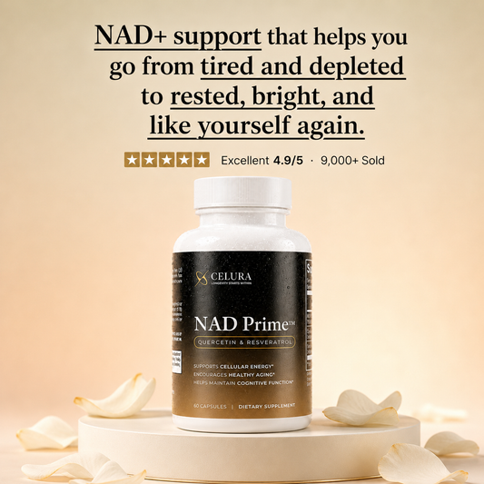 NAD Prime
