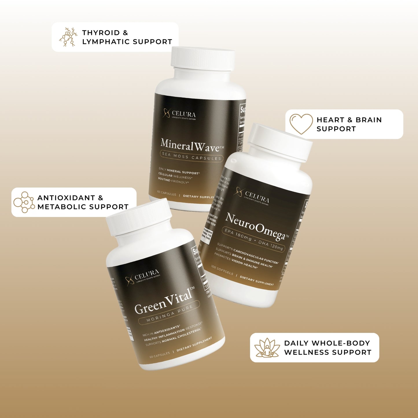 Daily Superfood Longevity Ritual